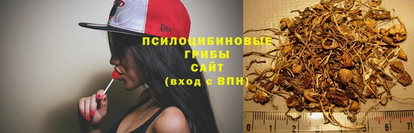 герыч Белокуриха