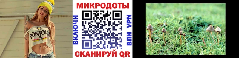 Галлюциногенные грибы MAGIC MUSHROOMS сколько стоит площадка Telegram Дубна
